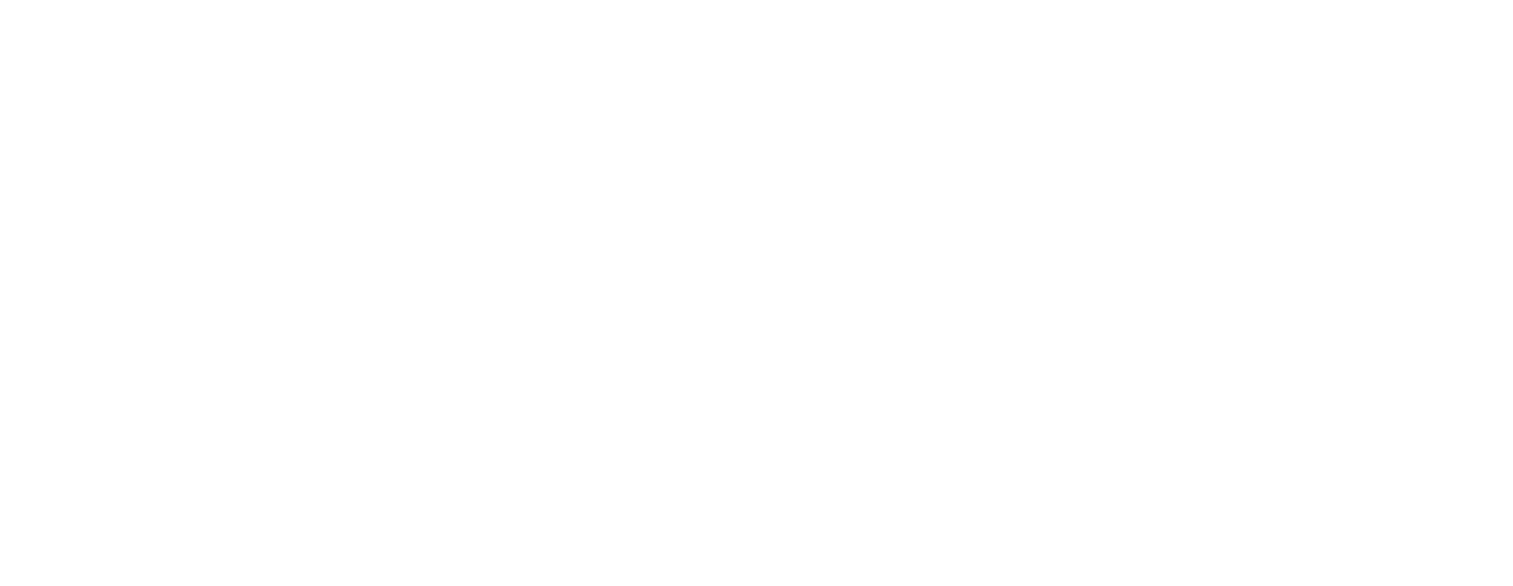 Logo ADISAL T H SRL