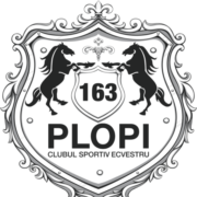 Logo 163 PLOPI S.R.L.