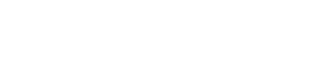 Logo ACCESORIA GROUP SRL