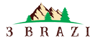 Logo 3 BRAZI-GURA RÂULUI SRL