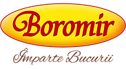 Logo BOROMIR IND SRL