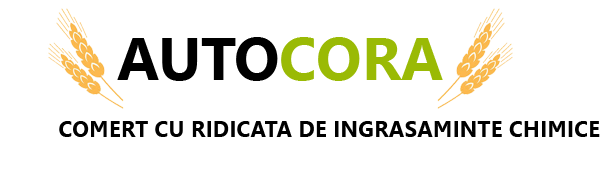 Logo AUTOCORA S.R.L.